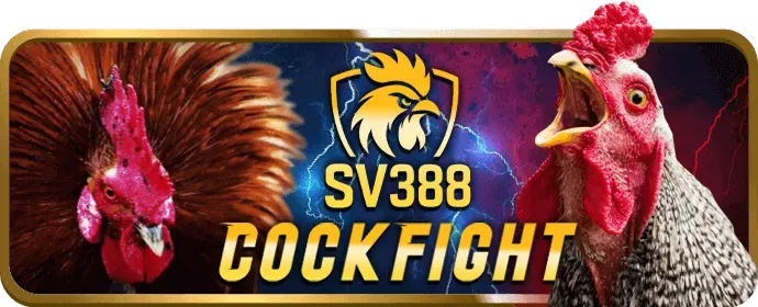 Câu lạc bộ VIP 98win9 win với ưu đãi độc quyền